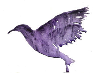 Purple Bird. Watercolor on watercolor paper. Janice Greenwood.