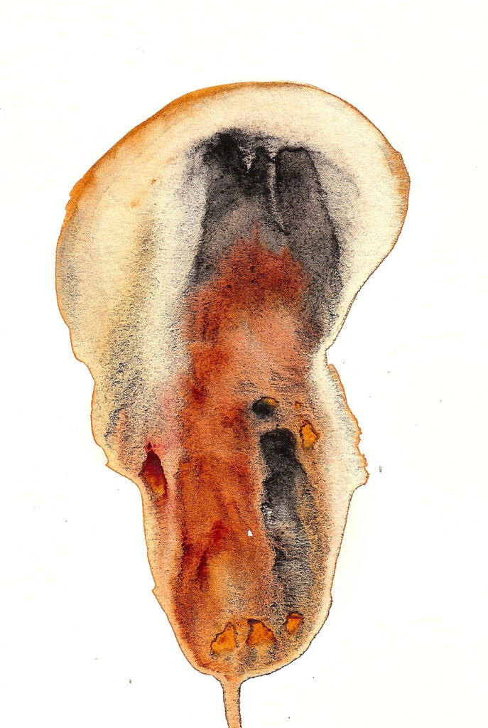 Ear. Watercolor. Janice Greenwood. Original Art.