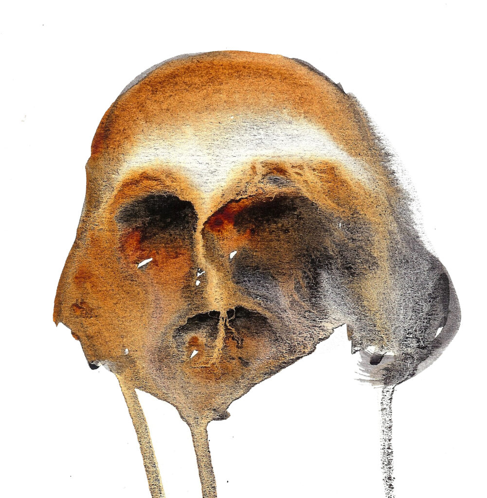 Skull. Watercolor on watercolor paper. Janice Greenwood. Original Art.