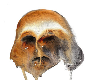 Skull. Watercolor. Janice Greenwood. Original Art.
