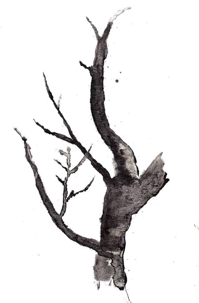 Tree. Watercolor on watercolor paper. Janice Greenwood. Original art.