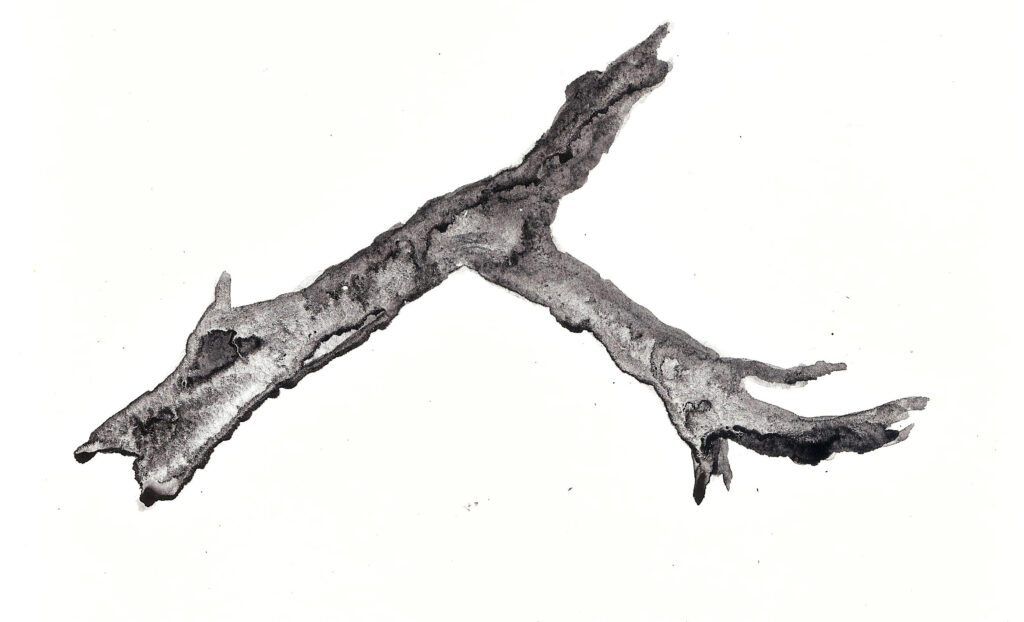 Driftwood. Watercolor. Janice Greenwood. Original Art.