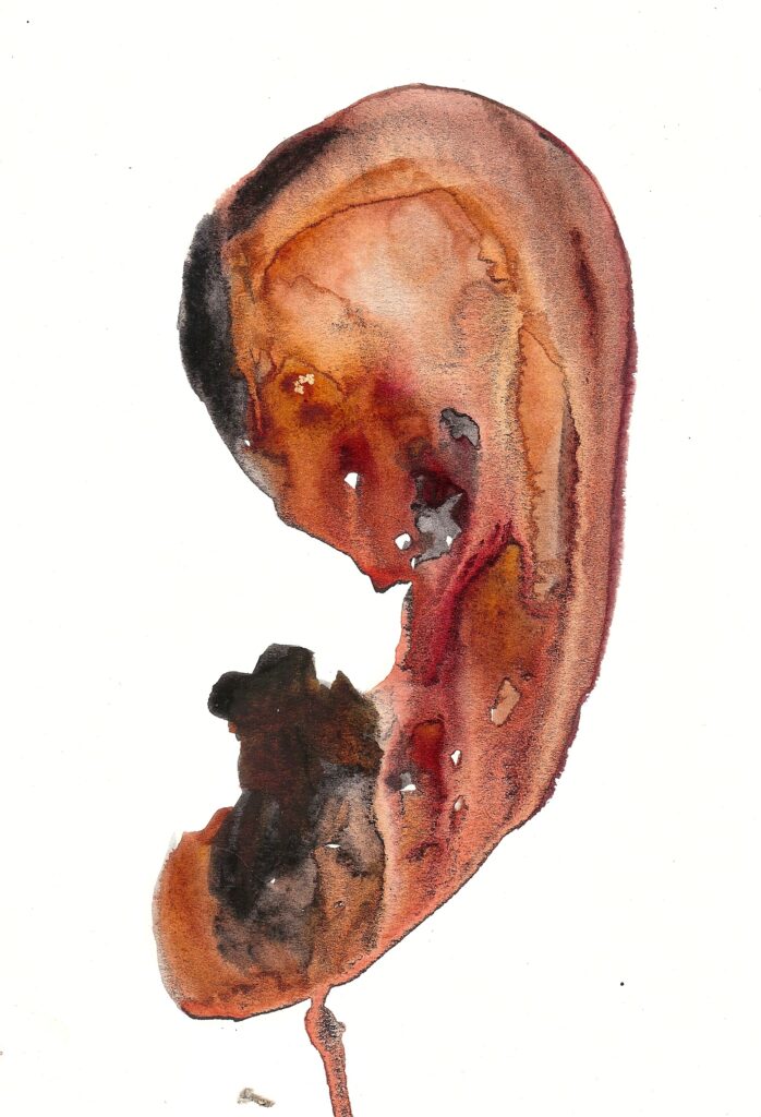 Embryonic. Watercolor. Janice Greenwood. Original Art.