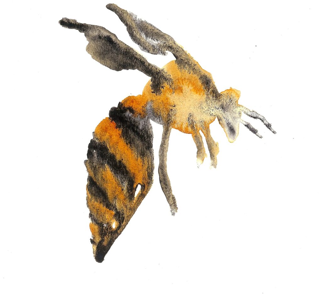 Colony Collapse. Watercolor. Janice Greenwood. Original Art.