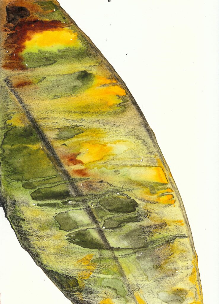 Gold Leaf. Watercolor. Janice Greenwood. Original Art.